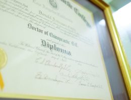 Значението на превода на дипломи, свидетелства и сертификати: Изчерпателно ръководство